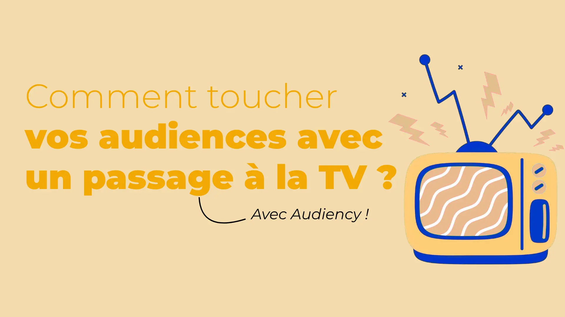 Audiency-TV-segmentee